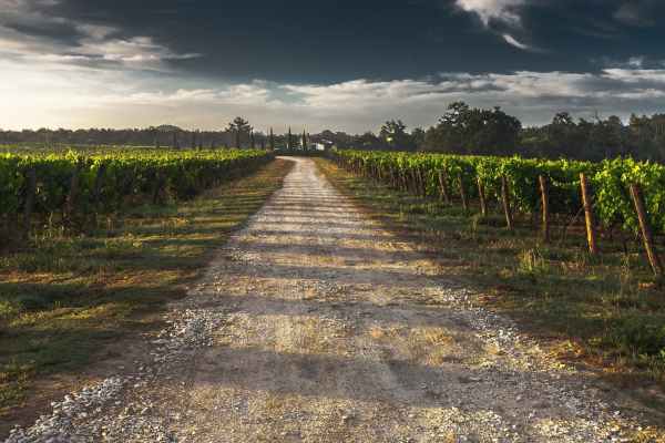 country-lane-gravel-road-tuscany-way-52725.jpeg