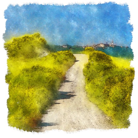 Le joli chemin des genêts (final)